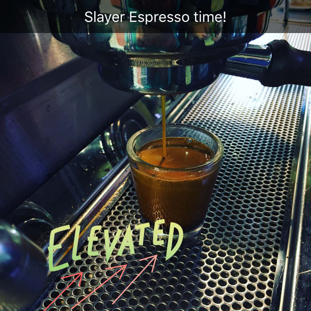 Jasper in January Jasper in January